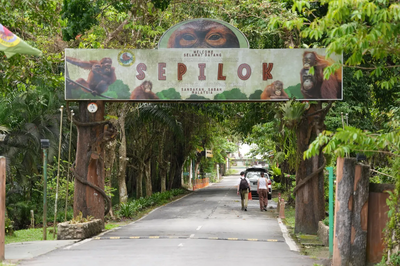 Approach road to the Sepilok Orangutan Rehabilitation Centre, Sandakan